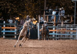 The Reno Rodeo Foundation: Enriching Lives & Strengthening Community in Northern Nevada